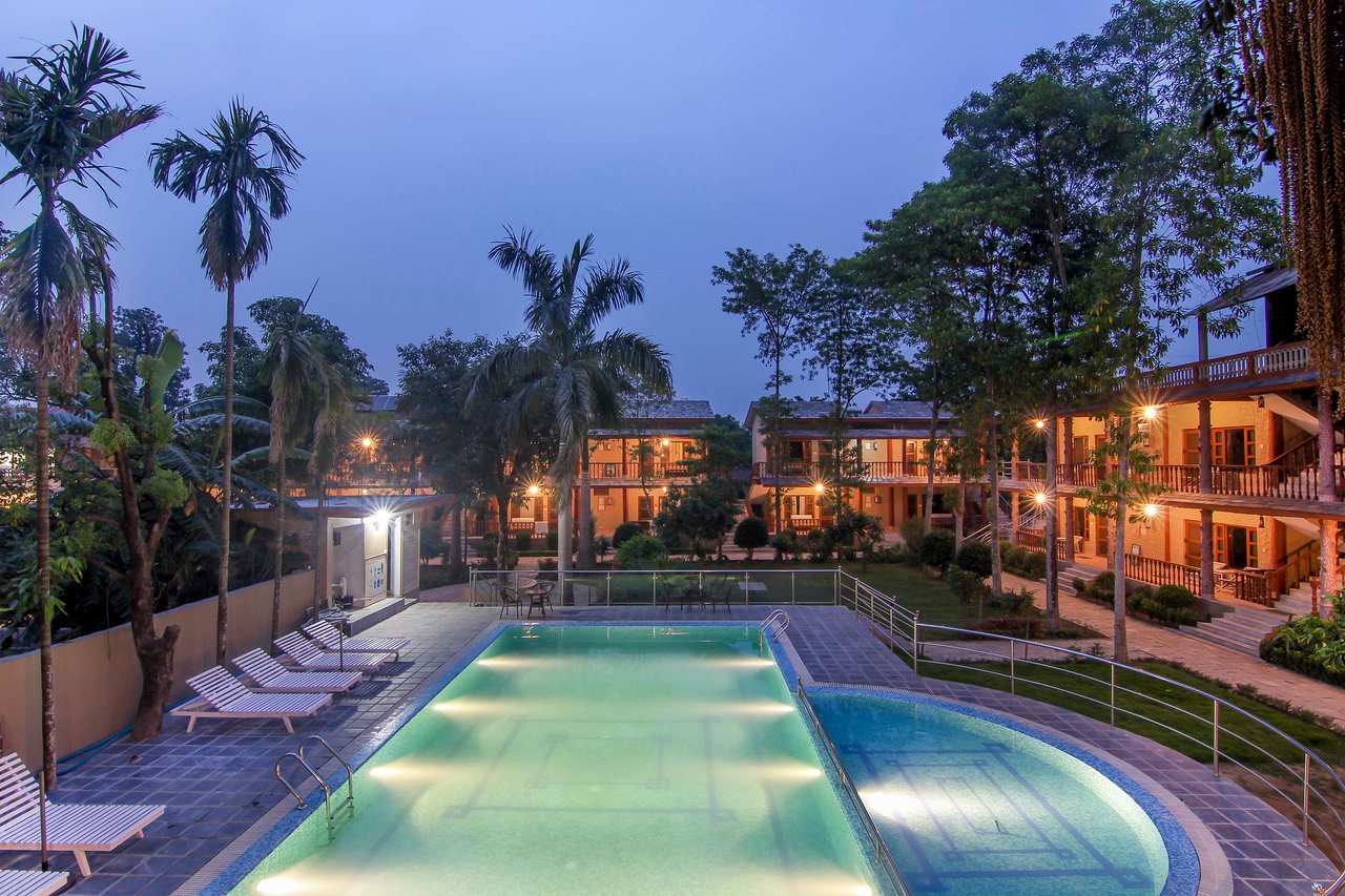 jungle safari hotel chitwan
